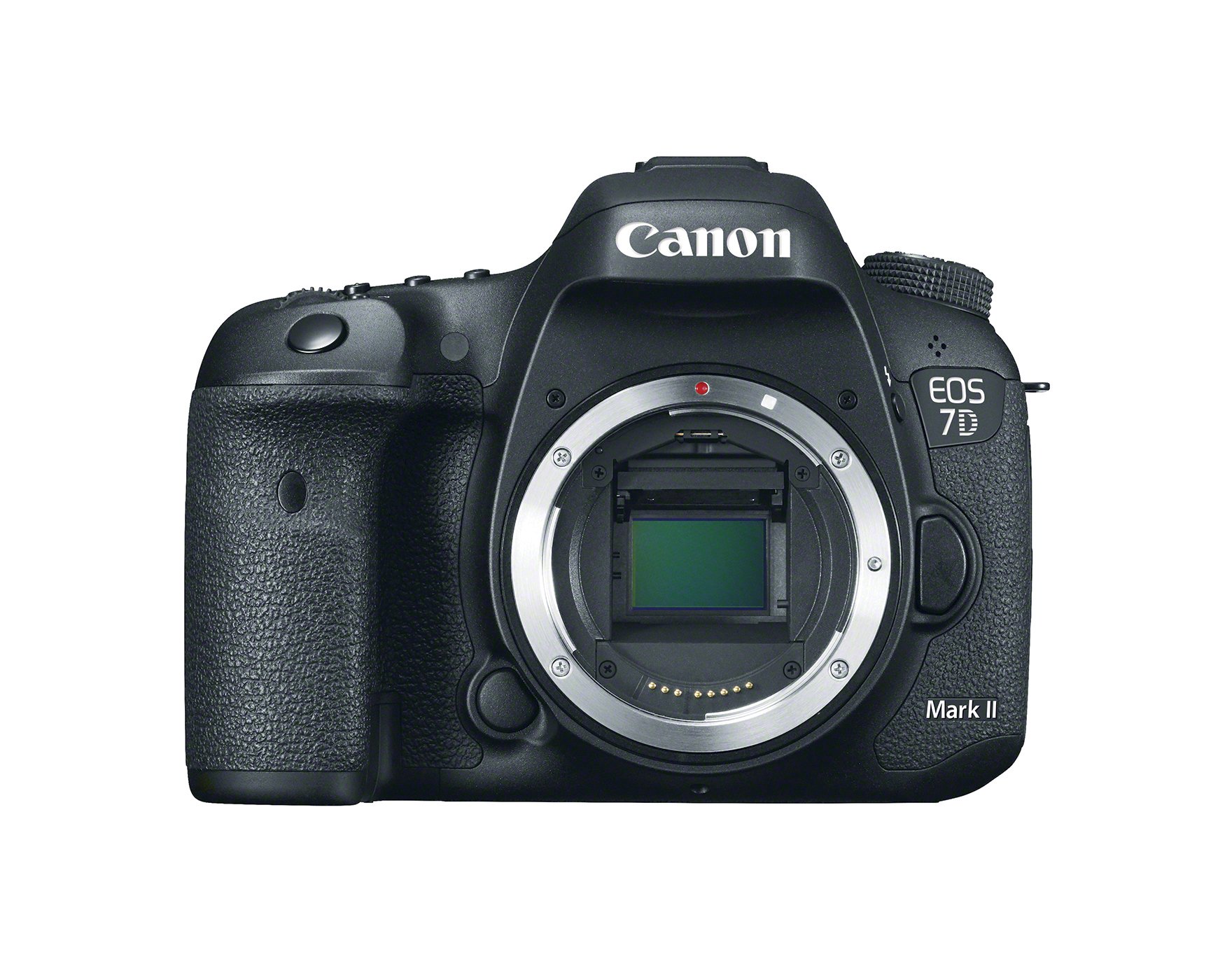 Canon EOS 7D Mark II Review