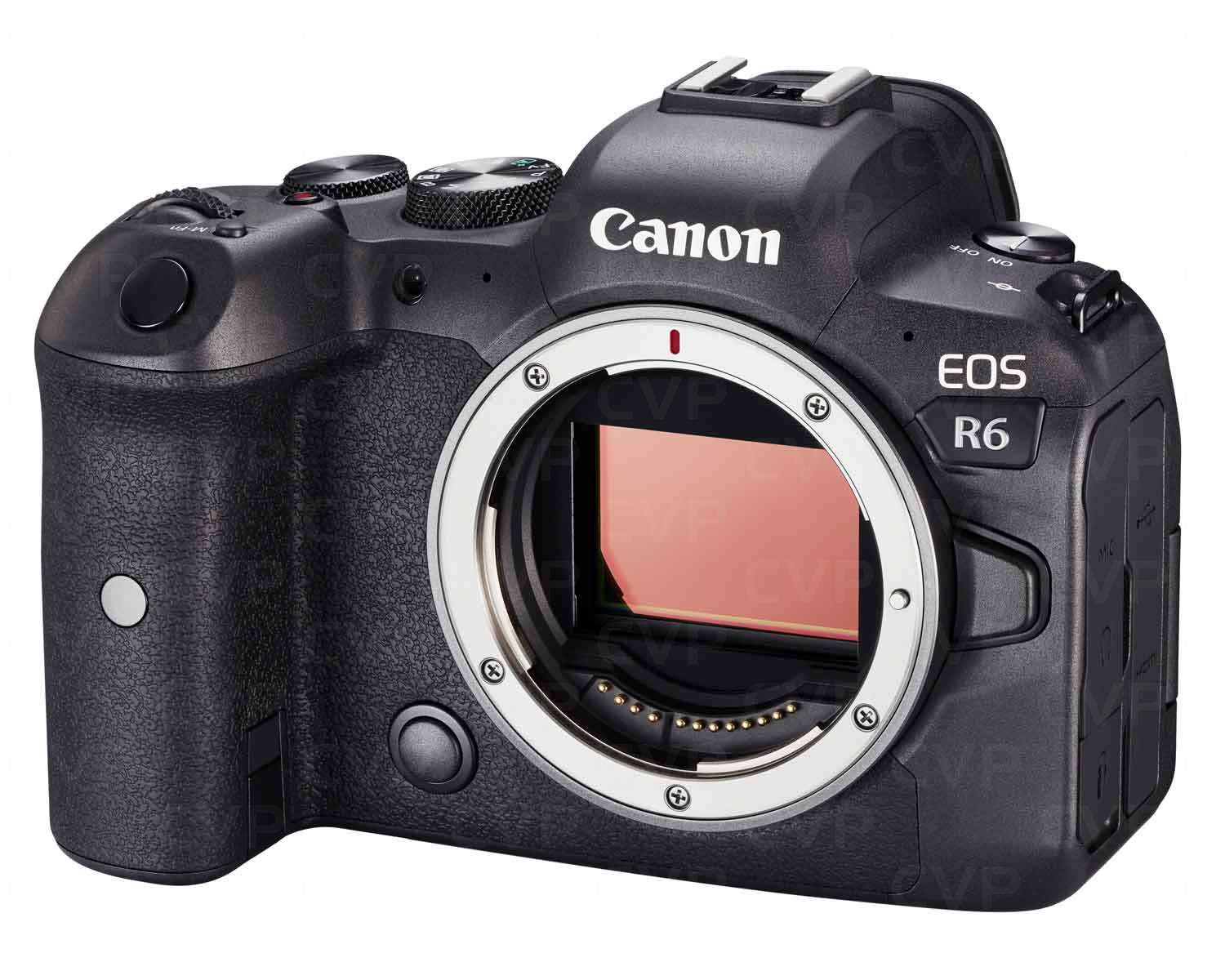 Canon EOS R6 Review